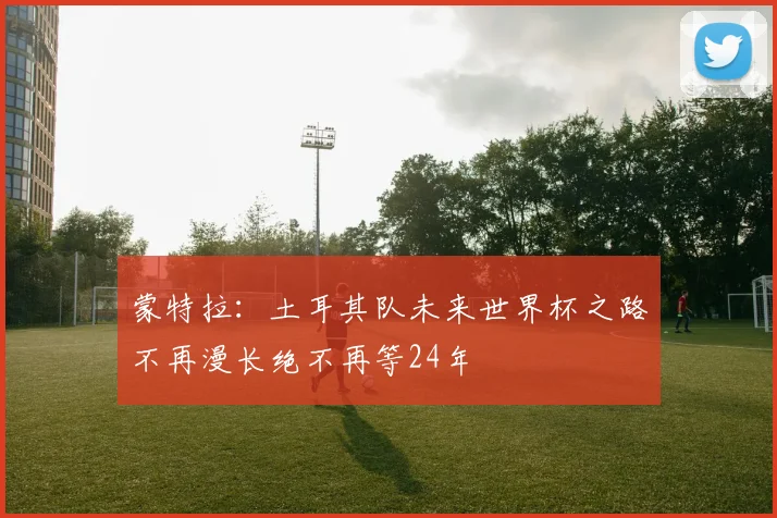 蒙特拉：土耳其队未来世界杯之路不再漫长绝不再等24年